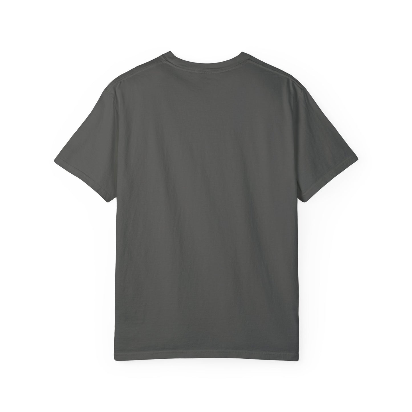 Nith OE Unisex Garment-Dyed T-shirt BLOCKHEAD